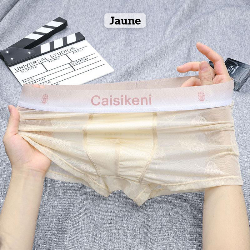 Lett, kjølig og pustende boxershorts i issilke for menn