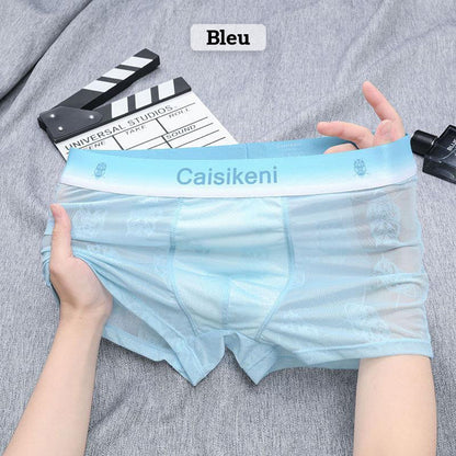 Lett, kjølig og pustende boxershorts i issilke for menn