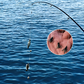 🎣Multi-Hook konstgjord flugfiske betesuppsättning