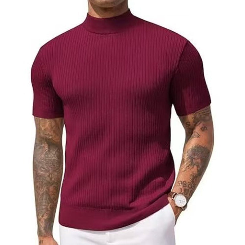 👕 50 % rabatt i en begrenset periode!✨ Slim-fit T-skjorte med høyhals til menn – ribbet, korte ermer, 6 farger 🍁